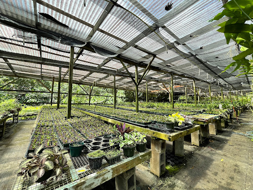 Plant stores Honolulu