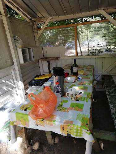 Opiniones de Camping Montecarlo, Lanco en Lanco - Camping