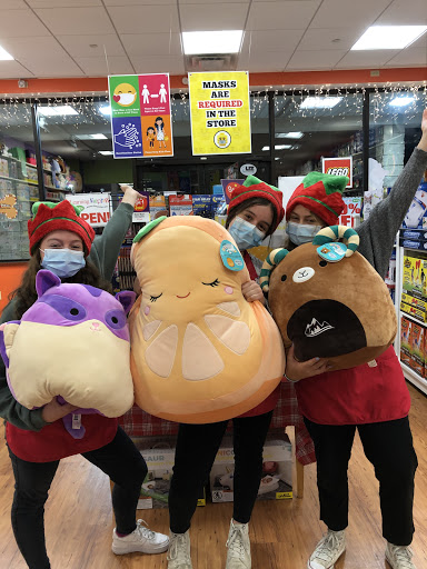 Toy Store «Learning Express Toys of Franklin, MA», reviews and photos, 80 Franklin Village Drive, Franklin, MA 02038, USA