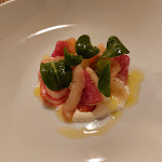 Photo n°1 de l'avis de marlies.a fait le 14/12/2021 à 11:51 sur le  Haubentaucher à Rottach-Egern