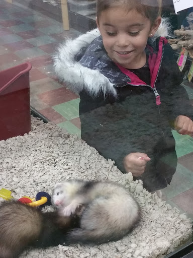 Pet Store «The Pet Zone», reviews and photos, 20 W Oak St, Pittston, PA 18640, USA