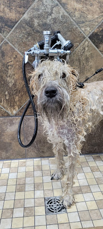 Hollywood Feed - Photo 9 - Car repair in Pittsburgh, PA, Pittsburgh