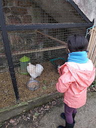 Photo n°2 de Centre Pierre François à Lanester ()