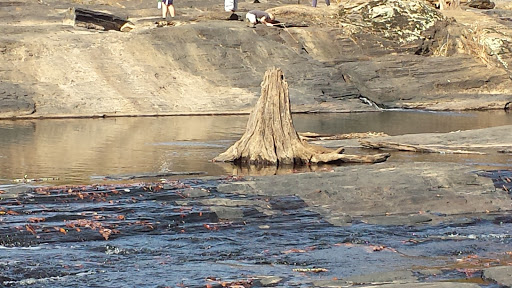Government Office «Sweetwater Creek State Park», reviews and photos, 1750 Mt Vernon Rd, Lithia Springs, GA 30122, USA