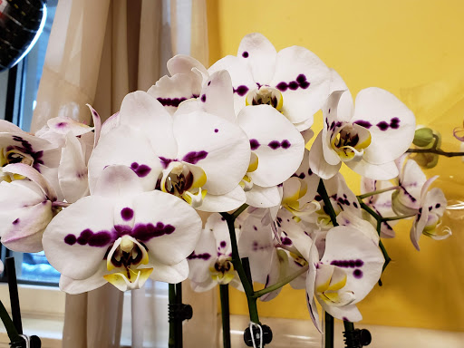 Grocery Store «Super Stop & Shop», reviews and photos, 59 Burnett Blvd, Poughkeepsie, NY 12603, USA