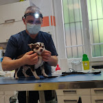 Photo n° 1 de l'avis de Laurent.o fait le 19/07/2021 à 11:18 pour Noack Olivier à Paris