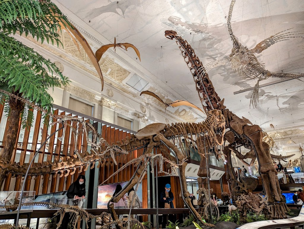 石尚恐龍主題餐廳(臺博古生物館) 的照片