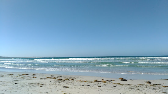 Greys Beach