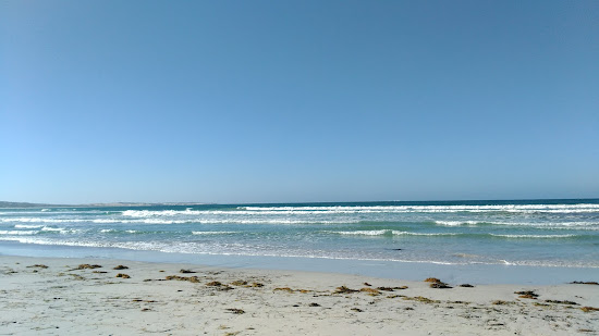 Greys Beach