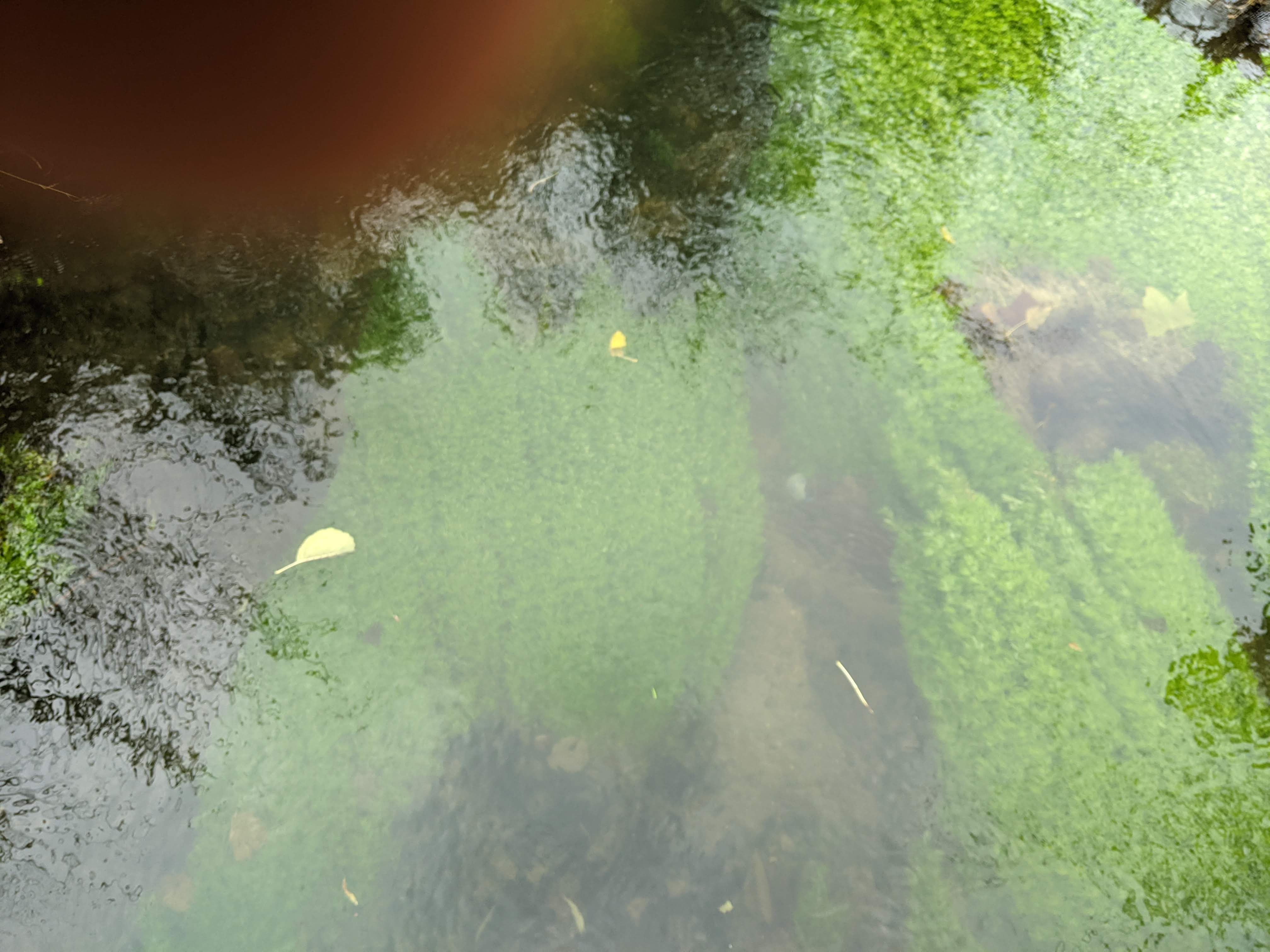 Photo n° 19 de l'avis de konrad.a fait le 08/11/2022 à 15:06