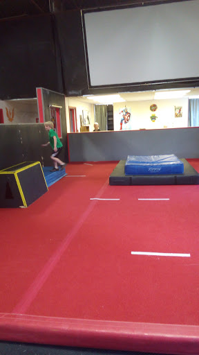 Gym «Phoenix Freerunning Academy», reviews and photos, 12936 Farmington Rd, Livonia, MI 48150, USA