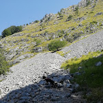 Photo n°4 de l'avis de Barbara.o fait le 26/08/2020 à 09:01 sur le  Rifugio Isera Orecchiella à Villa Collemandina
