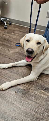 Dr. Jana Korsch-Dismukes image