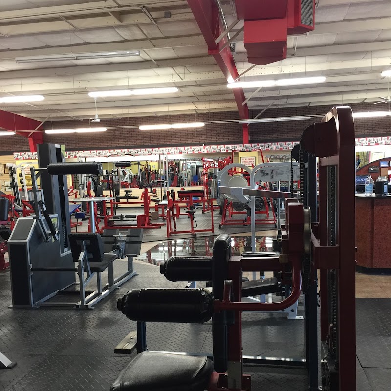 The Pit Barbell Club & Fitness Center