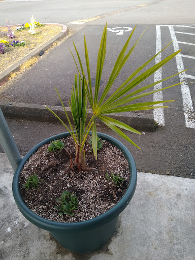 Grocery Store «Mega Foods Woodburn», reviews and photos, 1542 Mt Hood Ave, Woodburn, OR 97071, USA