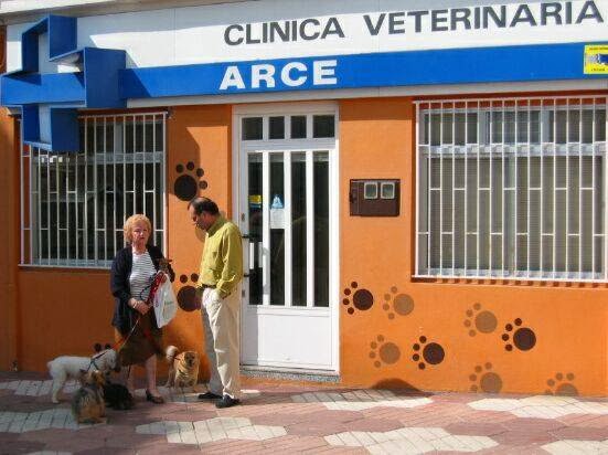 ARCE veterinario