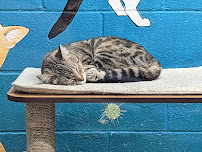 Animal City Pet Center - Photo 5 - Car repair in Murfreesboro, TN, Murfreesboro