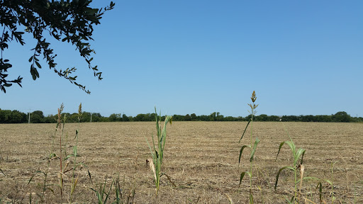 Office Supply Store «Office Depot», reviews and photos, 5205 N Garland Ave, Garland, TX 75040, USA