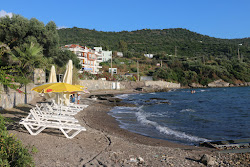 Urga Beach III'in fotoğrafı #42 ile birlikte