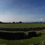 Photo n°4 de l'avis de Jouxjouxes. fait le 12/07/2018 à 17:19 sur le  Hotel Leonardo à Lazise