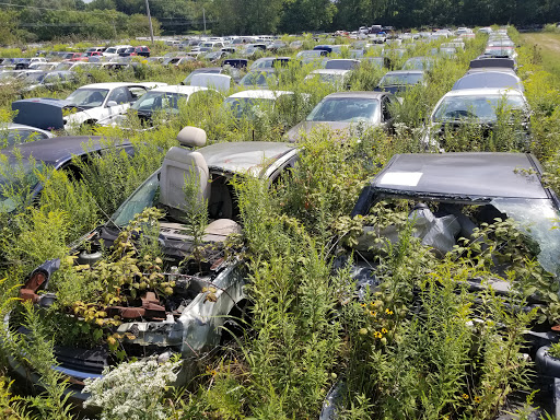 Auto Parts Store «Pierce Auto Parts», reviews and photos, 9118 US-40, New Paris, OH 45347, USA