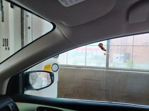 Car Wash «All Shined Up Car Wash», reviews and photos, 1187 Carlisle St, Hanover, PA 17331, USA