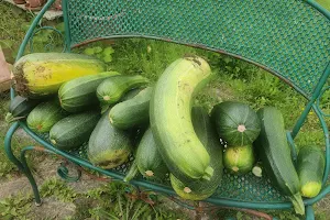 The Natural Dining Table image