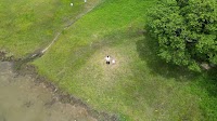 獅子ケ池