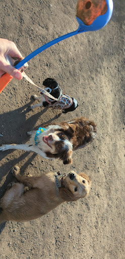 Pet Store «Healthy Pets Mountain West», reviews and photos, 2352 Fort Union Blvd, Cottonwood Heights, UT 84121, USA