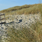 Photo n° 4 de l'avis de fleur.l fait le 14/09/2020 à 20:09 pour Plage de Kermabec à Tréguennec
