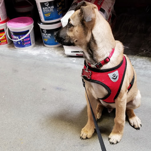 Home Improvement Store «The Home Depot», reviews and photos, 1617 N Carpenter Rd, Modesto, CA 95351, USA