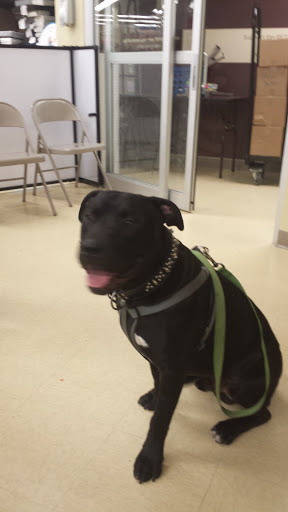 Pet Supply Store «Petco Animal Supplies», reviews and photos, 168 Ames Dr, Barre, VT 05641, USA