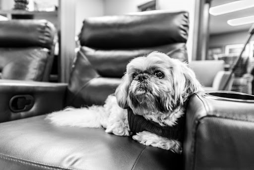 Consignment Shop «Second Home Furniture», reviews and photos, 2887 W Pioneer Pkwy, Pantego, TX 76013, USA