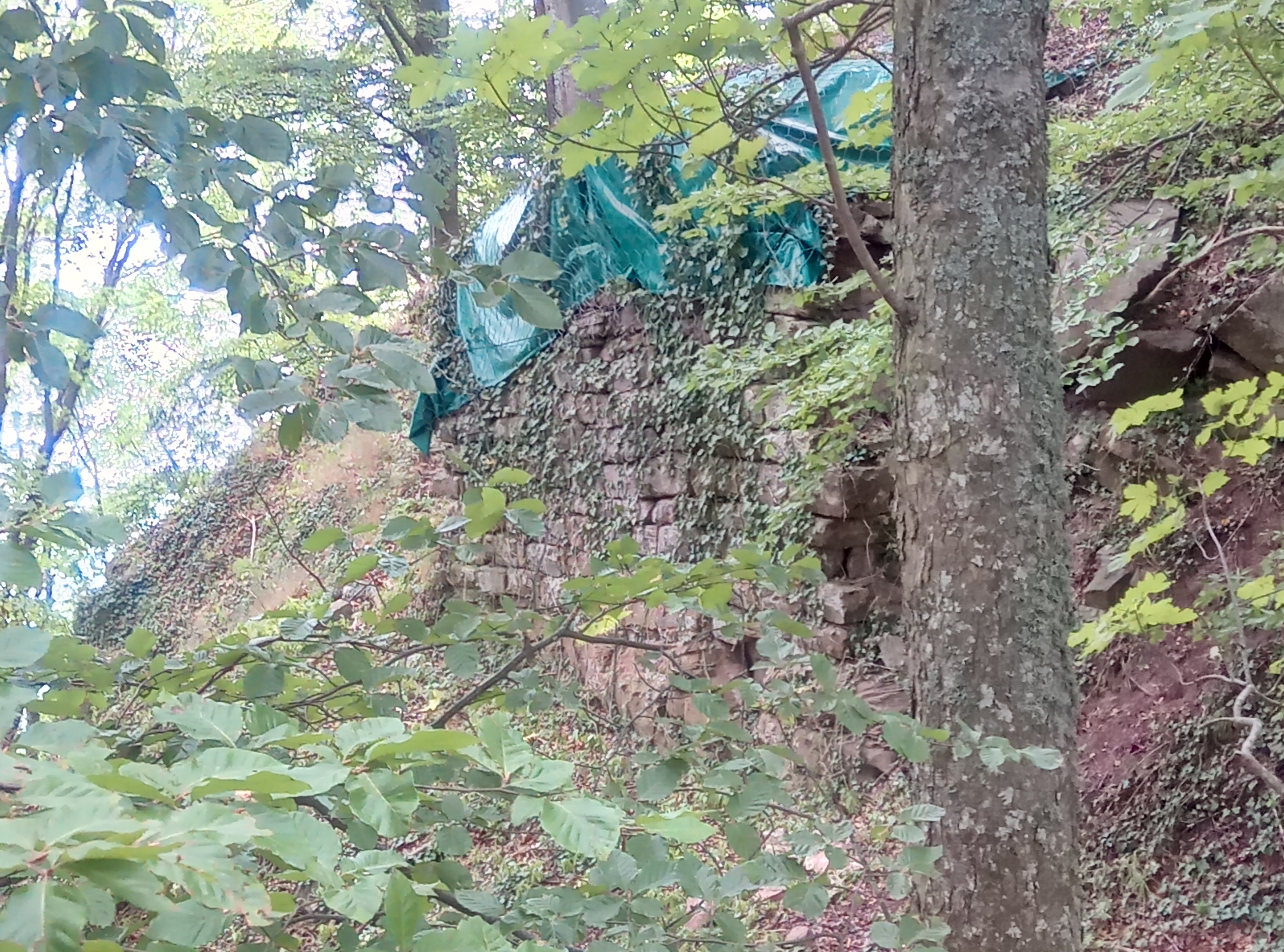 Photo n° 16 de l'avis de Transduo.r fait le 15/08/2018 à 12:01