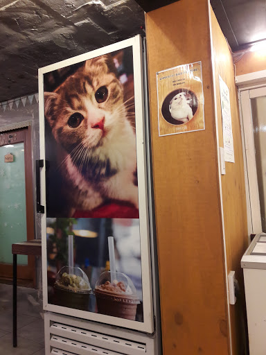 Table A Cat Cafe
