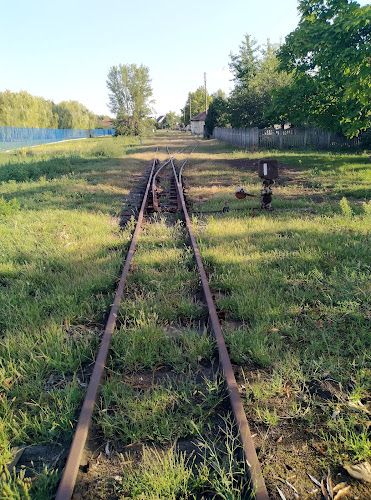 Nagyhalász, 3821 14-16, 4485