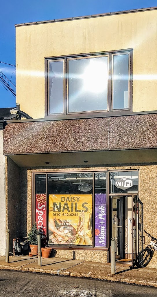 Daisy Nails Ardmore, PA 19003 Services and Reviews