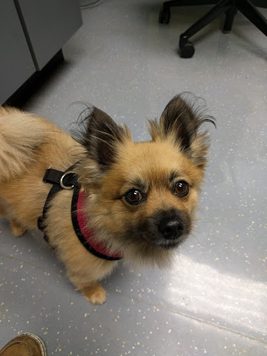 10015 Theote Rd, Fort Belvoir, VA 22060, USA