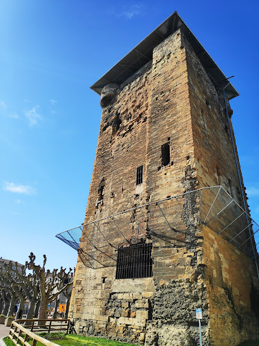 La Tour des Valois Sainte-Colombe à Sainte-Colombe