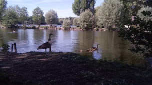 Photo n°36 de Le Chalet Des Etangs à Vert-le-Petit ()