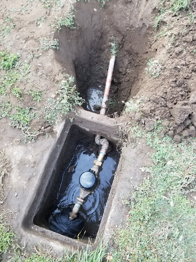 Drain Now Rooter Service