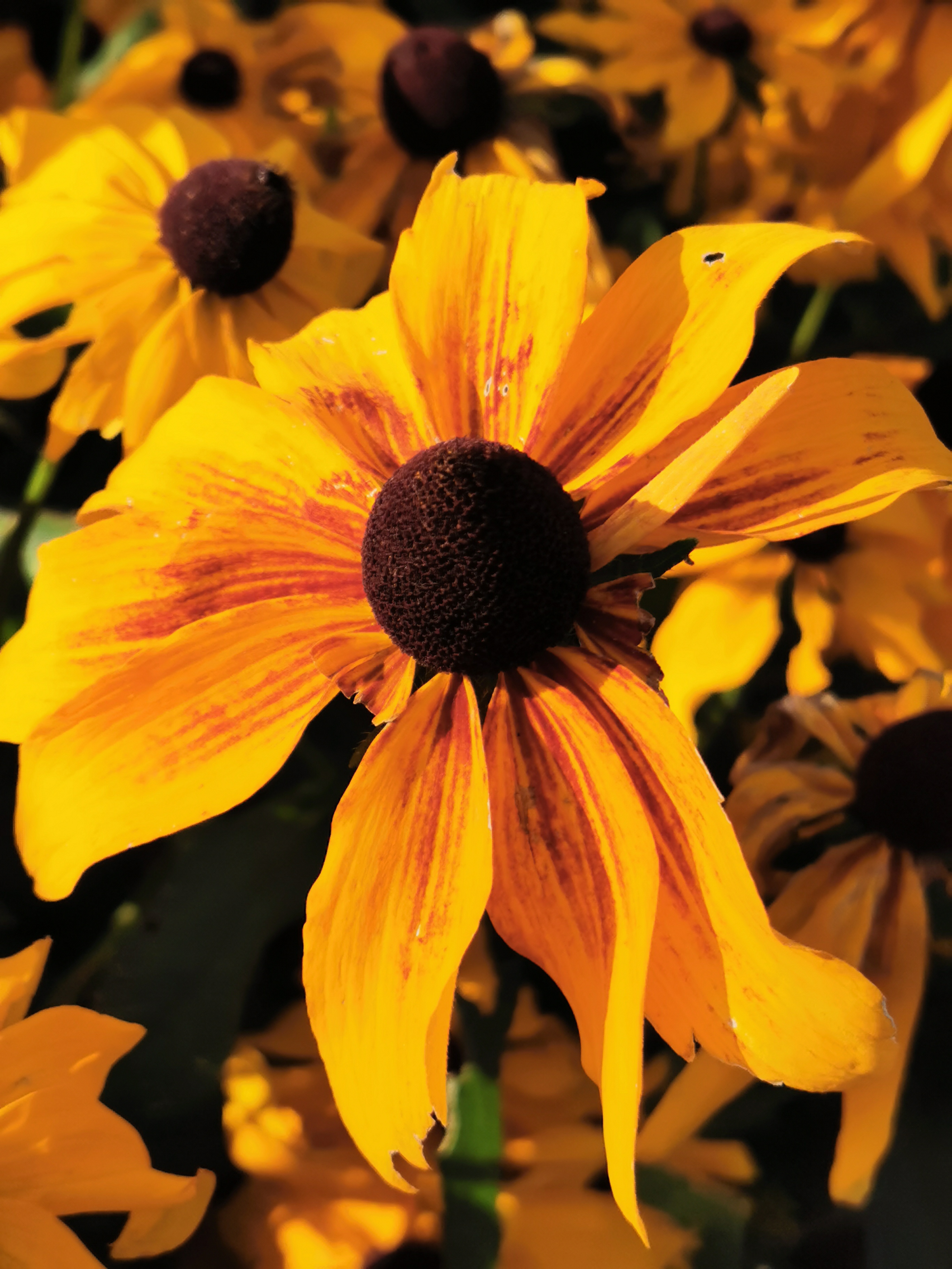 Photo n° 12 de l'avis de Sylvie.a fait le 22/08/2023 à 18:08