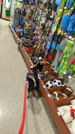 Pet Supply Store «PetSmart», reviews and photos, 2865 Oak Valley Dr, Ann Arbor, MI 48103, USA