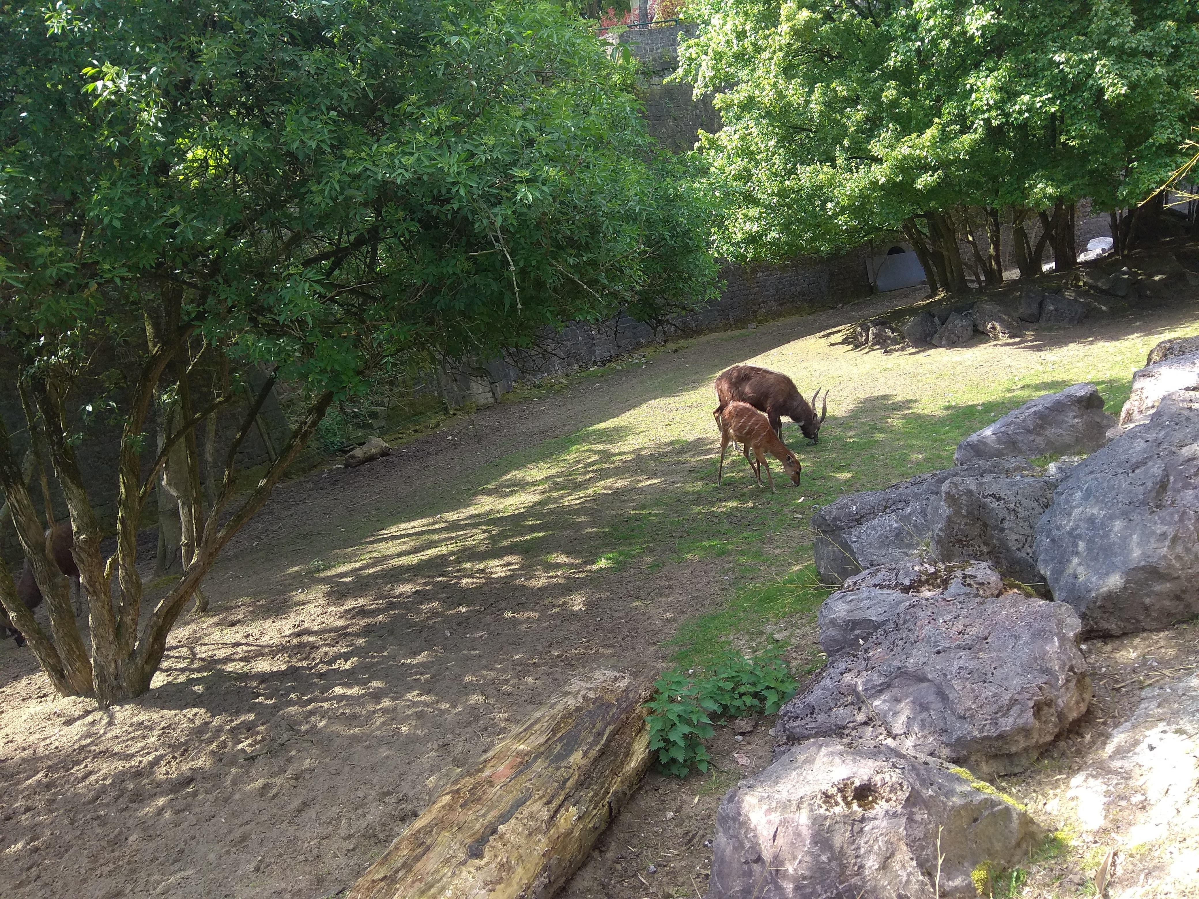 Photo n° 2 de l'avis de louloute.a fait le 05/07/2018 à 09:16