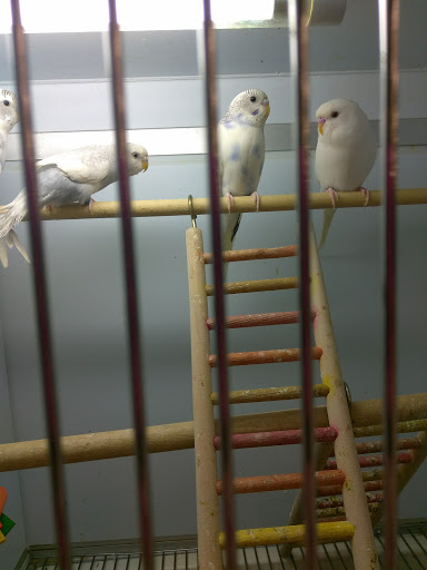 Pet Supply Store «Pet Supplies Plus», reviews and photos, 5708 State St, Saginaw, MI 48603, USA