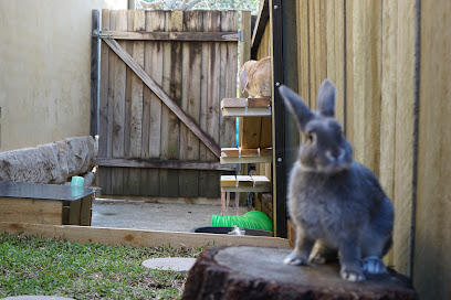 Centennial Park Rabbit Retreat
