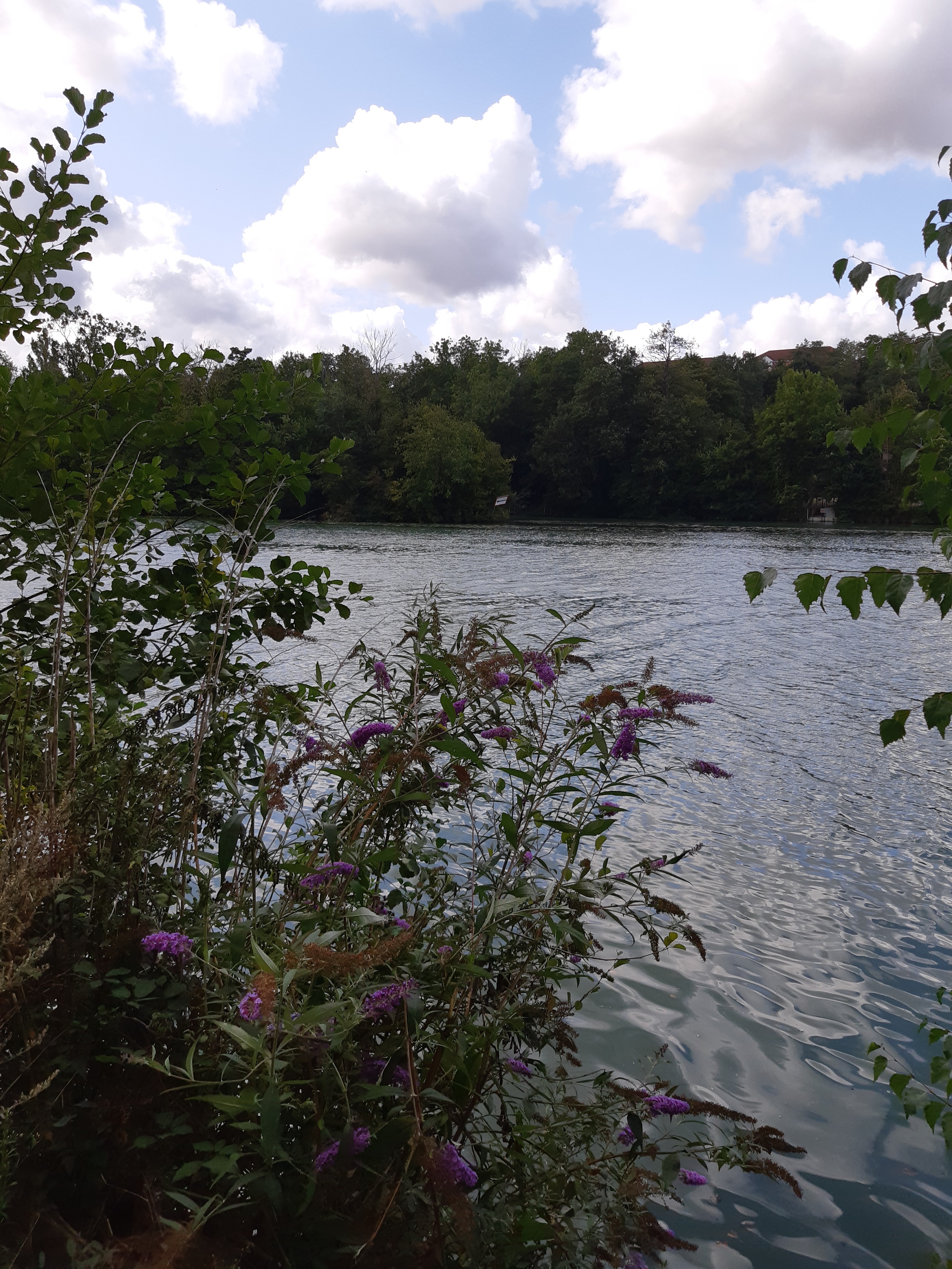 Photo n° 17 de l'avis de Tina.. fait le 08/09/2019 à 11:30