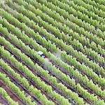 Photo n°1 de l'avis de Heidelberger.a fait le 17/10/2021 à 14:42 sur le  theiner's garten Das Biorefugium à Gargazon