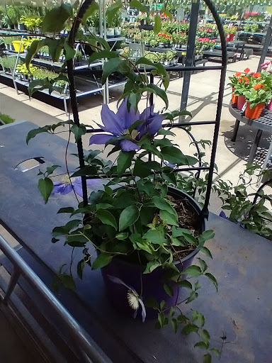 Department Store «Walmart Supercenter», reviews and photos, 400 Three Springs Dr, Weirton, WV 26062, USA