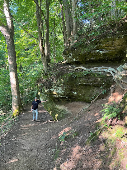 Big Lyon Falls Trailhead